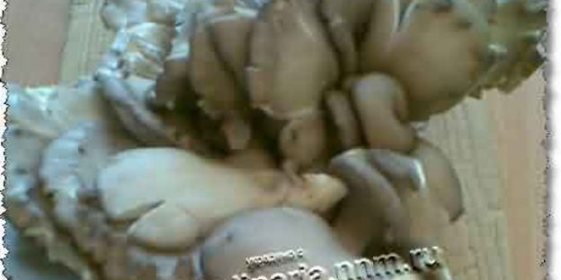 зразы мясные