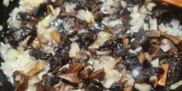 зразы нельсон