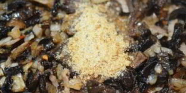 зразы нельсон