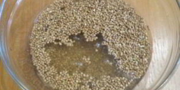 гречка под соусом