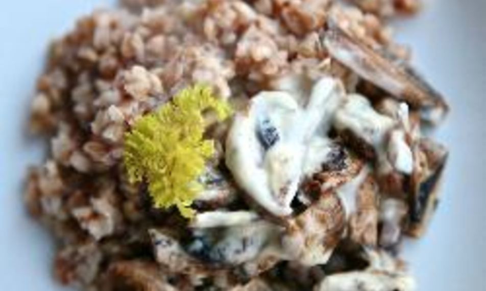 Рецепт гречки со сливочным грибным соусом