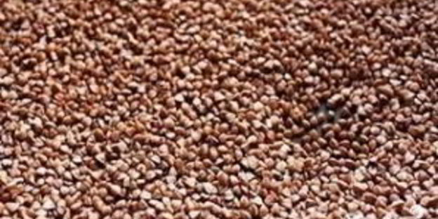 гречка, томленная со свининой