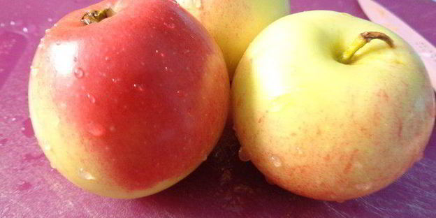 каша в тыковке веселый хэллоуин