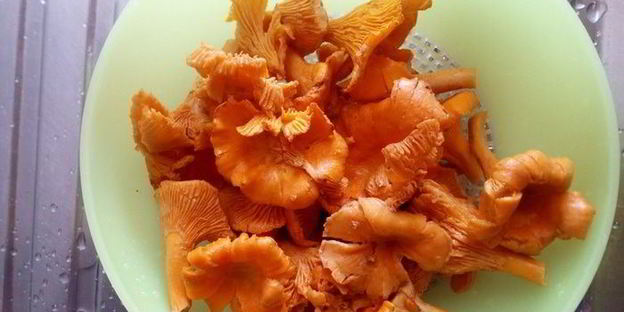 полента с лисичками в сливочном соусе