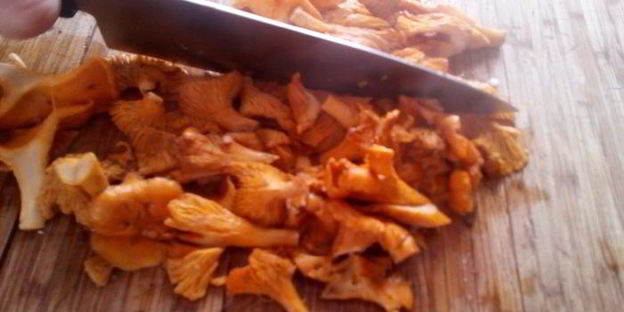 полента с лисичками в сливочном соусе