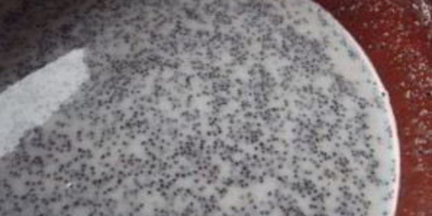 кутья жидкая