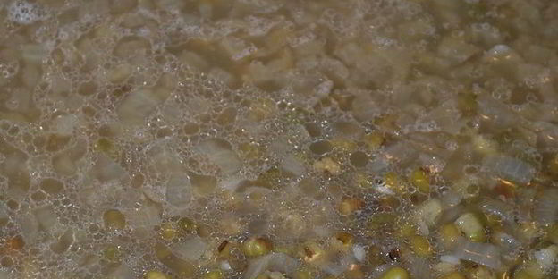 машевая каша с рисом