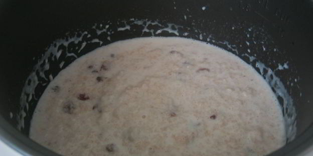 молочная овсяная каша с изюмом