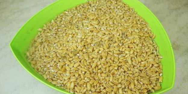 перловая каша с курицей в мультиварке