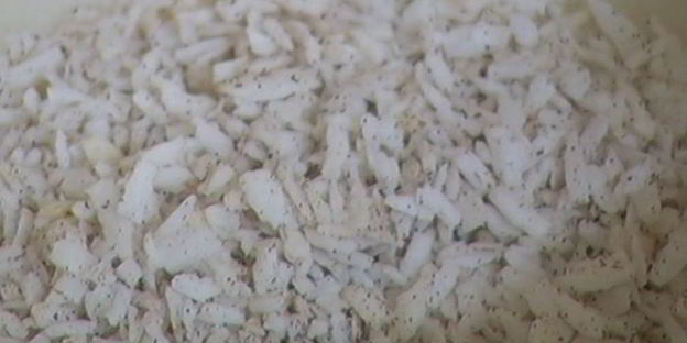 рисовая каша с шоколадом и кокосовой карамелью