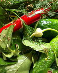 Красивые рецепты