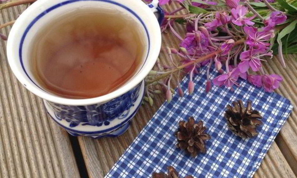 Рецепт чая кипрей