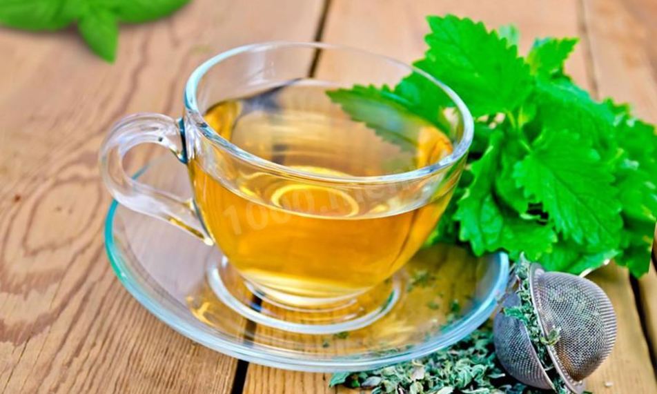 Рецепт чая зеленого с мелиссой