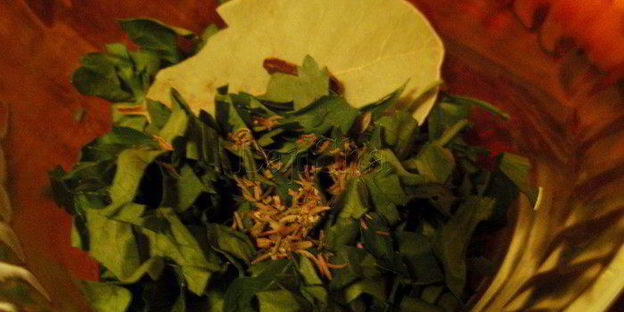 говядина тушенная с овощами