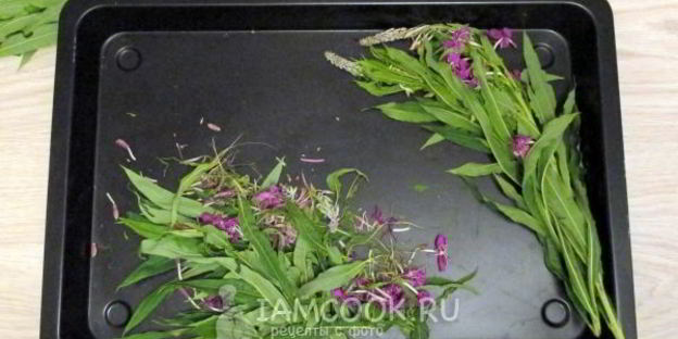 иван чай ферментированный крупнолистовой