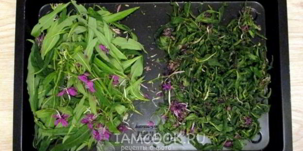 иван чай ферментированный крупнолистовой