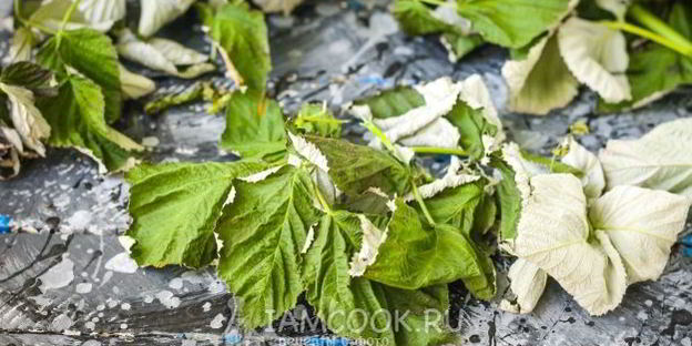 малиновый чай