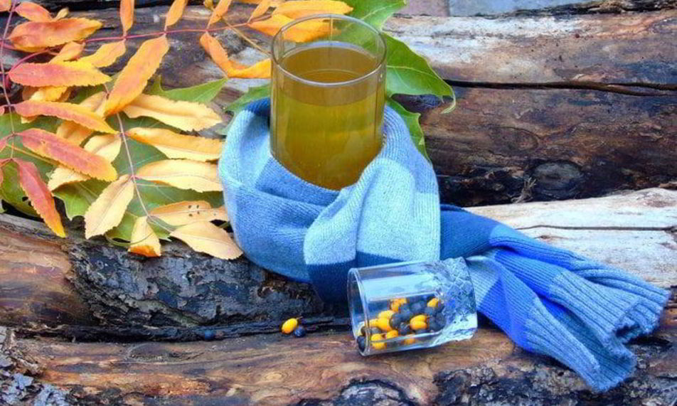 Рецепт можжевелова-облепихового чай с изюмом