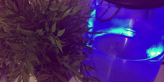 согревающий чай пряная осень