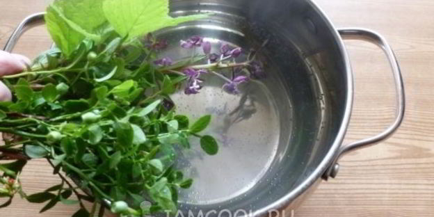 травяной чай таежный