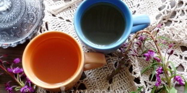 травяной чай таежный