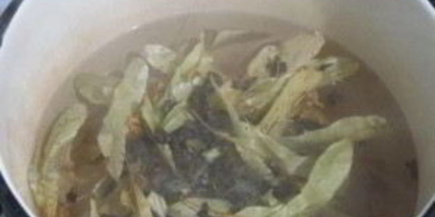 зеленый чай с липой