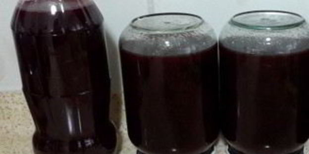 домашнее вино из сливы