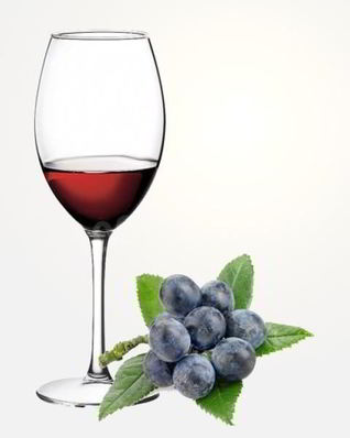 Домашнее вино из терновника