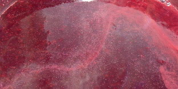 бархатный чернично-сливочный кисель