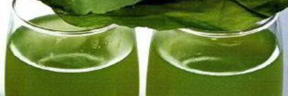 Кисель из щавеля