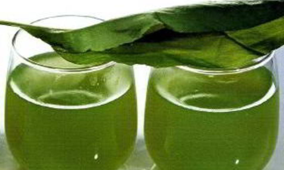 Рецепт киселя из щавеля