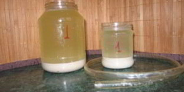 овсяный кисель изотова