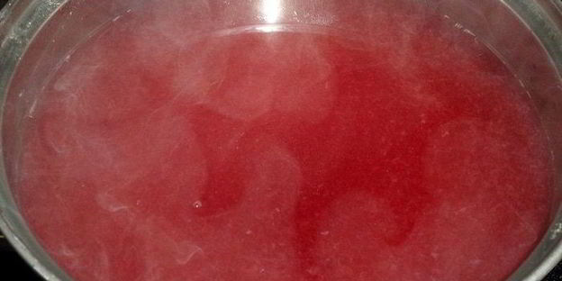 сливовый кисель