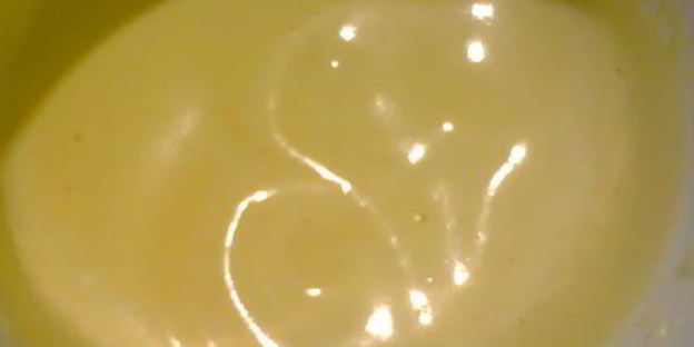 гляссе с растворимым кофе