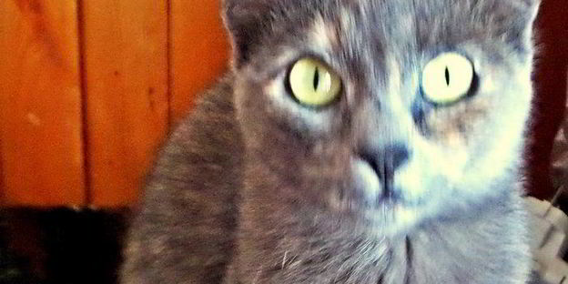 карамельно-ореховый кофе