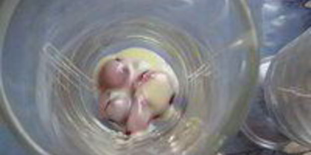 кофейно-вишневый коктейль утреннее наслаждение