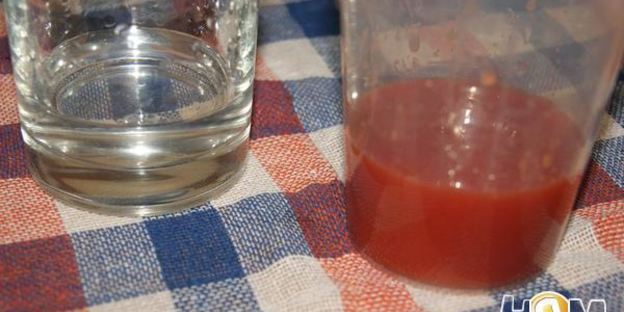 коктейль кровавая мэри