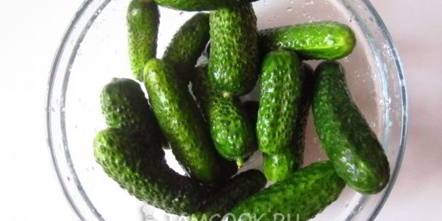 огурцы квашеные с водкой