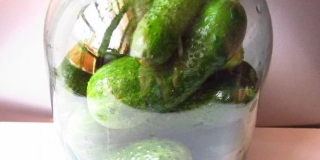 огурцы квашеные с водкой