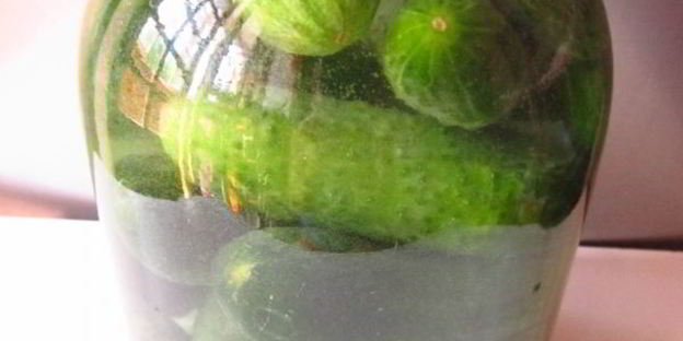 огурцы квашеные с водкой