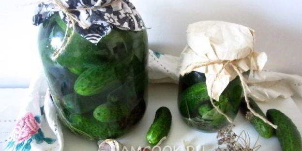 огурцы квашеные с водкой