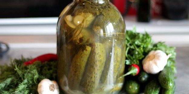 соленые огурцы с водкой