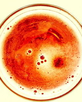 Белый домашний квас