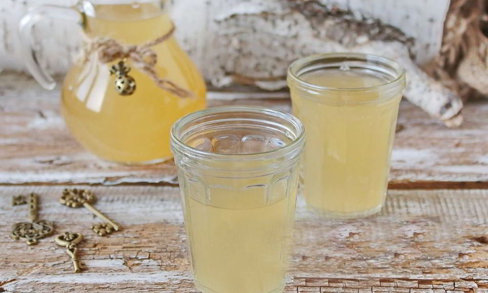 Рецепт березового кваса без дрожжей