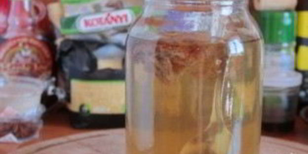 березовый квас без дрожжей