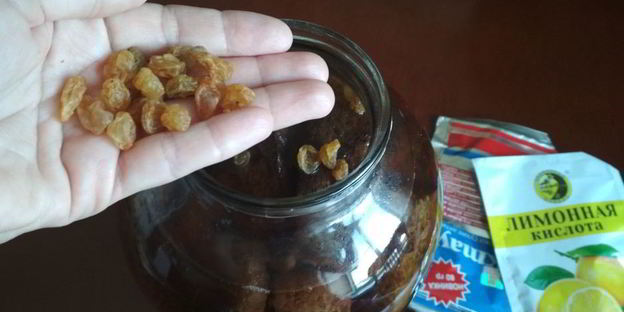 быстрый квас