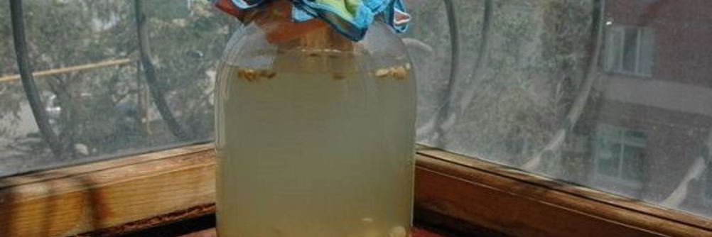 Домашний овсяный квас