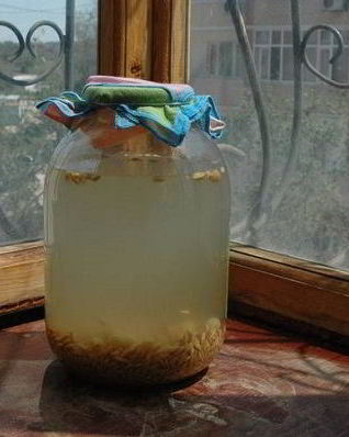 Домашний овсяный квас