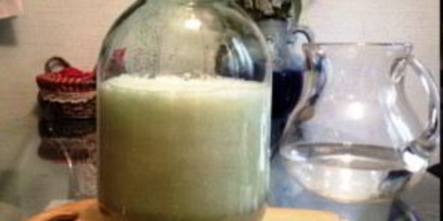 капустный квас