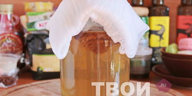 квас березовый